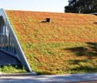 BIG Architects’ Hill House has a Garden on Top