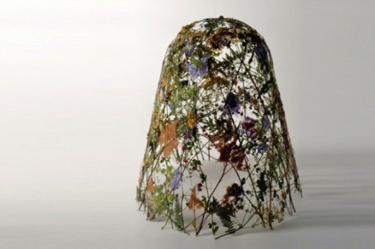 Pressed Flower Sculptures, eco art, eco sculpture, flowers, ignacio canales aracil, fragility of time