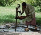 New Device Uses World’s Smallest Animals to Detect Water Toxins