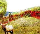 Innovative Wildlife Crossings for Denver’s Perilous I-70 West