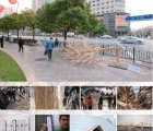 30,000 Used Chopsticks Transformed Into a Fallen Tree in Shanghai