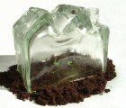 Pit Industry is a Mini Greenhouse for Your Windowsill