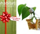 Inhabitat Green Holiday Gift Guide: Eco Friendly Gifts for the Home
