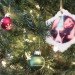inhabitat christmas, green christmas, happy holidays from inhabitat, inhabitat holidays, green holidays, holiday celebrations, inhabitat christmas greetings, inhabitat holiday greetings