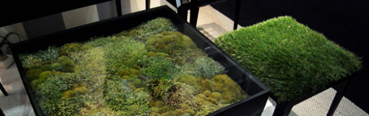 top 6 green product posts, top 6 green products, green products, eco products, green design, eco design, sustainable design, top posts of 2010