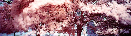 sustainable design, green design, green technology 2010, top 6 green technology stories