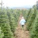 inhabitat christmas, green christmas, happy holidays from inhabitat, inhabitat holidays, green holidays, holiday celebrations, inhabitat christmas greetings, inhabitat holiday greetings