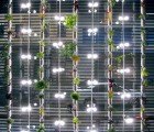 Windowfarms: Grow an Edible Hanging Indoor Garden this Winter!