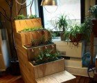 NYU ITP Students Develop Bioremediating Aquaponics, Hydroponic Furniture and Other Living Systems