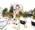 Bell Book & Candle Restaurant in NYC Features Aeroponic Rooftop Garden
