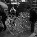 cardboar tube pavilion, temporary pavilion, recycled materials, sydney architecture festival, ch4 student design competition, unsw faculty of built environment