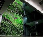 Spain’s Largest Vertical Garden Cleans Air Inside Office Building