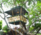 Lofty Hooch Bamboo Treehouse Holds Record for Smallest Building Foundation
