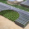 Norway and Jordan Sign Agreement to Make Sahara Forest Project Oasis a Reality