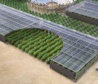 Norway and Jordan Sign Agreement to Make Sahara Forest Project Oasis a Reality