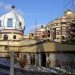 Waldspirale, wald spirale, forest spiral, green roof, forest topped building, eco architecture, crazy architecture, green architecture, sustainable architecture, Friedensreich Hundertwasser, green building, roof garden, Heinz M. Springmann, bauverein darmstadt company, tree tenants, weird architecture