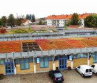 Augustenborg Botanical Garden is a Red, Yellow, and Green Roof Bursting with Color