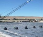 Sewage Eating ‘Poo-Gloos’ Clean Wastewater