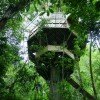 ECO EWOK TREEHOUSES: Finca Bellavista Rainforest Village