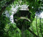 ECO EWOK TREEHOUSES: Finca Bellavista Rainforest Village