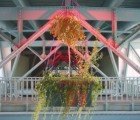 Mobile Garden Project Brings Awareness to Lack of Green Space in Istanbul