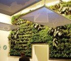 Vitaverde Builds Leafy Vertical Garden for National Bank of Greece