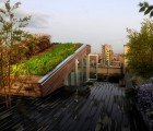 Balmori Associates’ Ultra Modern NYC Penthouse Boasts a Lush Stairway of Green