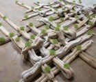 Lattice: A Recycled Eco Art Installation That Sprouts and Grows