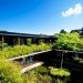 eco home, eco luxury, green courtyard, green home, green home design, green luxury home, guz architects, passive cooling, rainwater catchement, Singapore green home, solar house, solar thermal