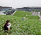 Morphosis Unfolds an Undulating Campus of Grass and Glass in Shanghai