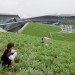 Giant Interactive, Shanghai green building, green roof, china green building, daylight, green corporate campus, eco campus, sustainable corporate campus, Morphosis Architecture,