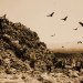Waste Land, garbage pickers, rio, brazil, vik muniz, vik munoz, Rio de Janeiro, Jardim Gramacho, catadores