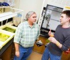 Researchers Use Algae to Treat Wastewater and Generate Biofuel