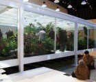 Bik Van der Pol Unveils Butterfly Sanctuary Inspired by Mies van der Rohe