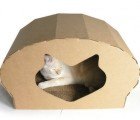 Kittypod Dome: A Recycled Cardboard Cat Haven for Your Feline Friends