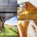 meera house, meera, guz, guz architects, singapore architecture, green architecture, eco architecture, green design, green roof, roof garden, sustainable design, sustainable architecture,