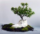 Bury OAT’s Biodegradable Sneaker, Watch It Bloom into Flowers!