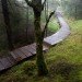 Outlandia, London Fieldworks, Malcolm Fraser Architects, Scotland, Scottish Highlands, Tree house, artist studio, Artist retreat, Lochaber College, sustainable design, sustainable materials, Adam Dant, Art