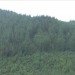 Outlandia, London Fieldworks, Malcolm Fraser Architects, Scotland, Scottish Highlands, Tree house, artist studio, Artist retreat, Lochaber College, sustainable design, sustainable materials, Adam Dant, Art