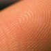 packaging the future, sustainable design, green design, human skin, biomimicry, green packaging, sustainable packaging, alternative packaging materials