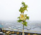 Incredible Rooftop Treehouse In Amsterdam Made From Fruit & Veggie Crates