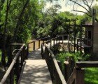 Delta Escape is a Serene Treehouse Fortress on Argentina’s Tigre River