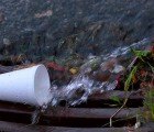 Styrofoam Makes a Comeback in the United States Capitol Cafeteria