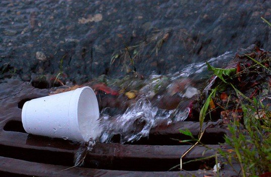 green capitol program, green capitol program over, styrofoam cups, washington dc, washington dc policy, nancy pelosi, green initiatives, ban on styrofoam