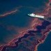 bp oil spill, gulf oil spill, deepwater horizon, deepwater horizon explosion, bp oil clean up, bp oil