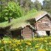 grass roof, norwegian home, roof garden, green architecture, norway architecture, eco architecture, sustainable architecture, green design, eco design