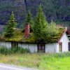 Beautiful Norwegian Foliage-Covered Green Roofs