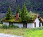 Beautiful Norwegian Foliage-Covered Green Roofs