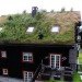 grass roof, norwegian home, roof garden, green architecture, norway architecture, eco architecture, sustainable architecture, green design, eco design