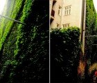 Patrick Blanc Unveils New Vertical Garden at the Sofitel Vienna Stephansdom Stilwerk